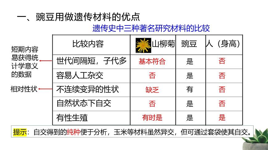 人教版高中生物必修2 1-1《孟德尔的豌豆杂交实验（一）》课时2 教学课件第8页