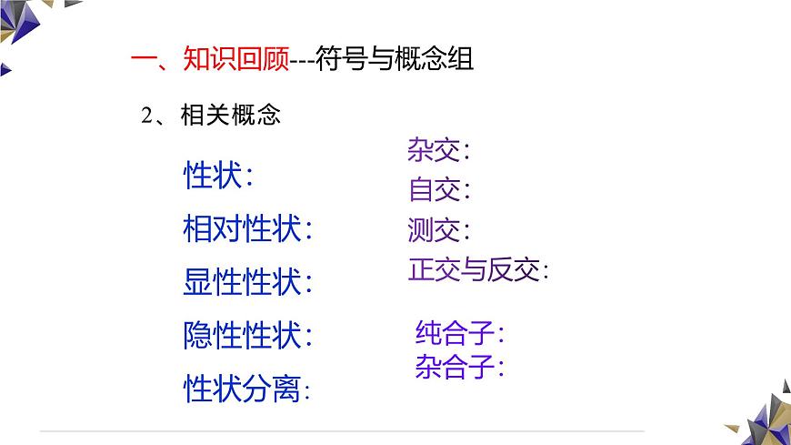 人教版高中生物必修2 1-1《孟德尔的豌豆杂交实验（一）》课时2 课件第3页