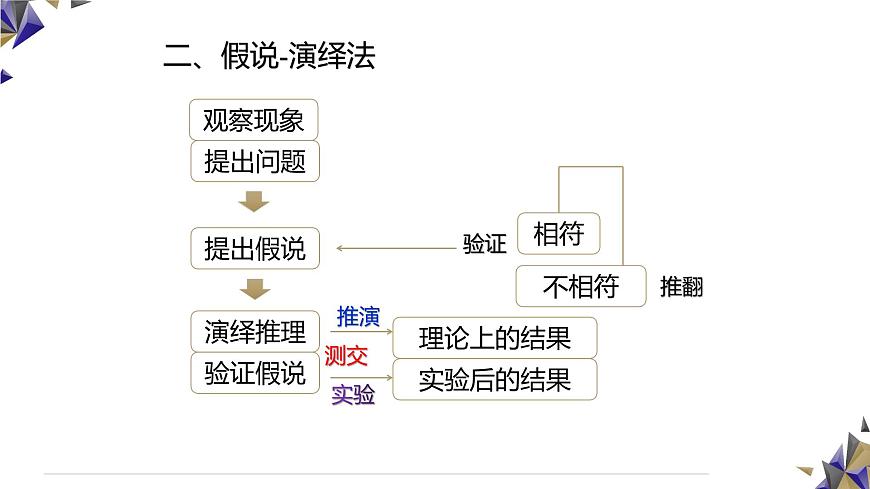 人教版高中生物必修2 1-1《孟德尔的豌豆杂交实验（一）》课时2 课件第4页