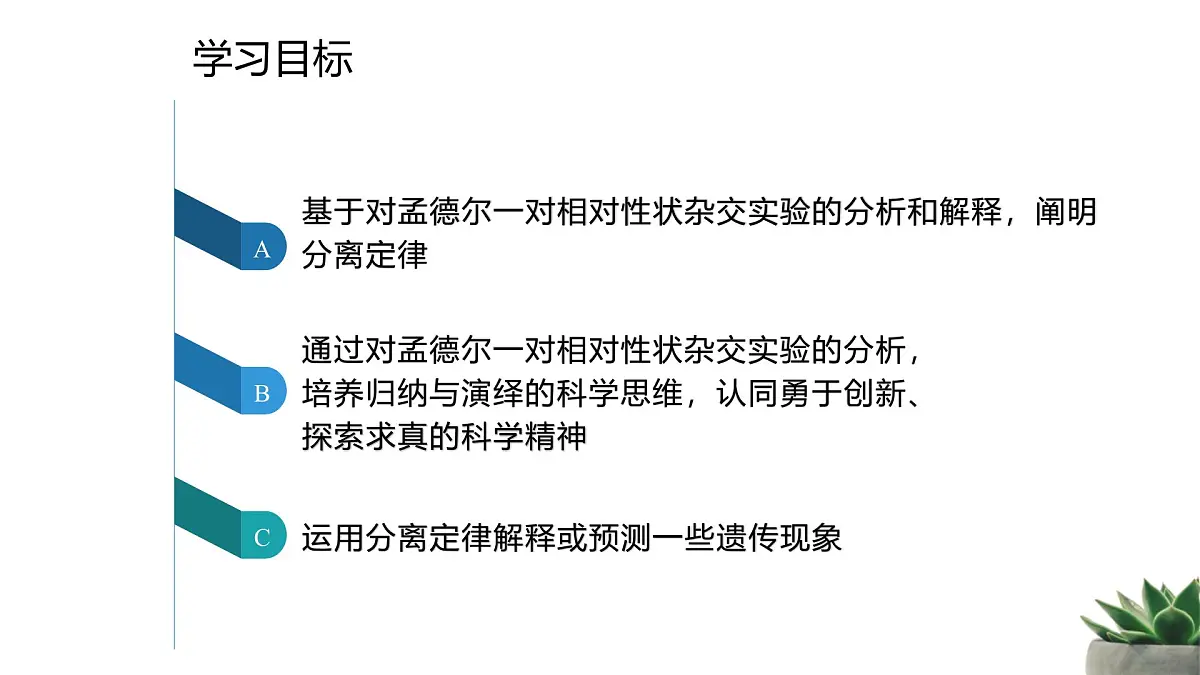 人教版高中生物必修2 1-1《孟德尔的豌豆杂交试验（一）》 课时1 教学课件第2页