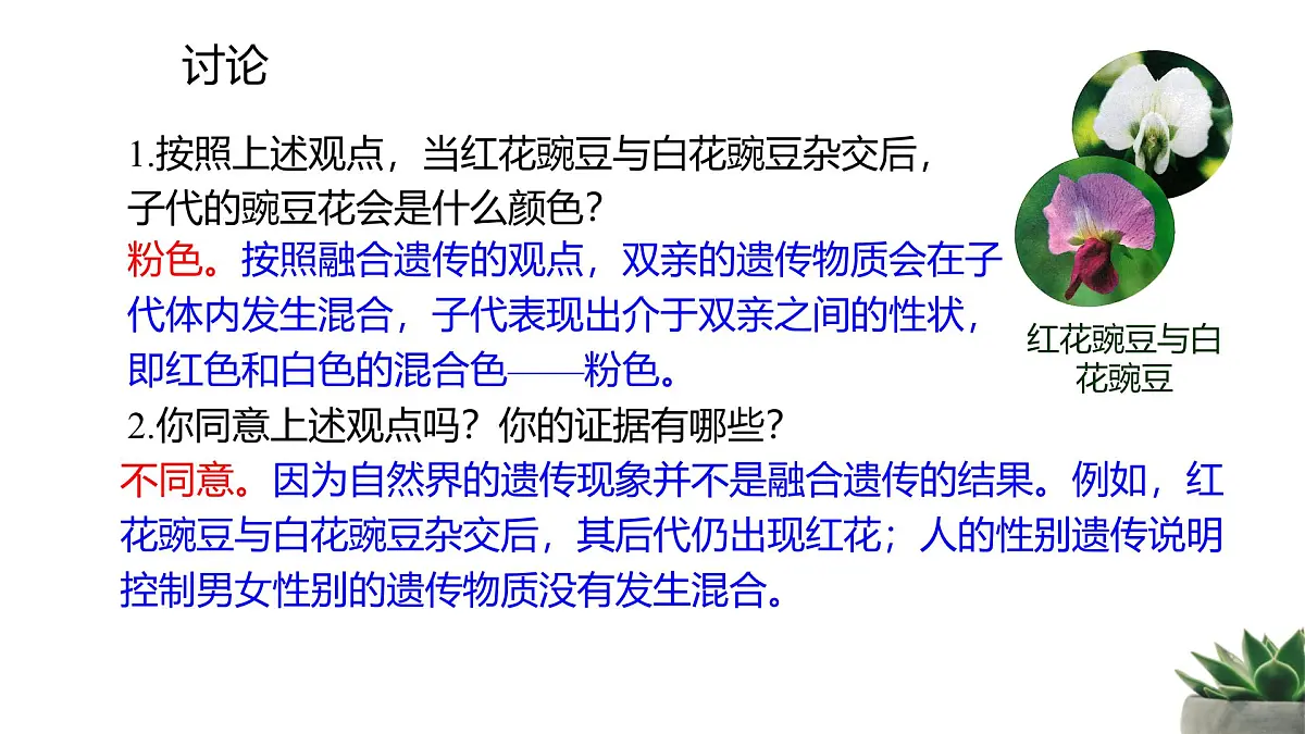 人教版高中生物必修2 1-1《孟德尔的豌豆杂交试验（一）》 课时1 教学课件第4页