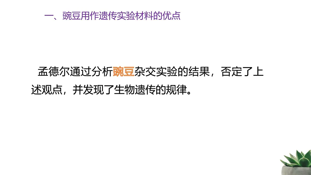 人教版高中生物必修2 1-1《孟德尔的豌豆杂交试验（一）》 课时1 教学课件第5页