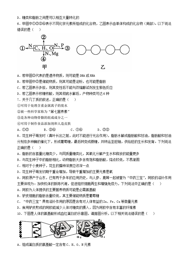 江苏省徐州市铜山区2024_2025学年高一生物上学期11月期中试题第2页