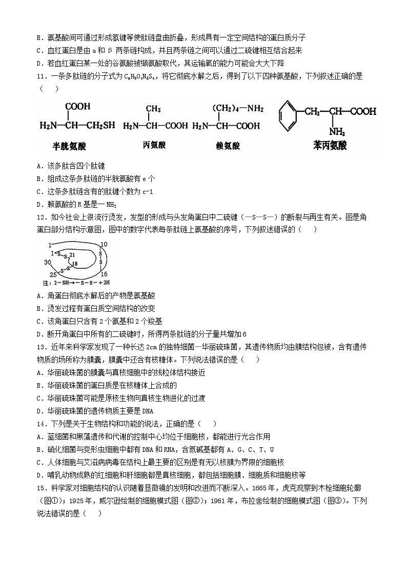 江苏省徐州市铜山区2024_2025学年高一生物上学期11月期中试题第3页