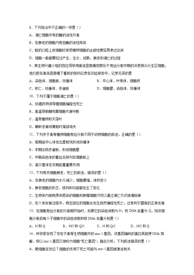 人教版高中生物必修1《第6章细胞的生命历程》章末检测 无答案第3页
