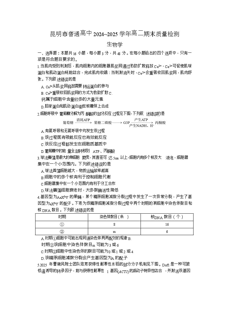 云南省昆明2024-2025学年高二下学期期末质量监测生物试卷第1页