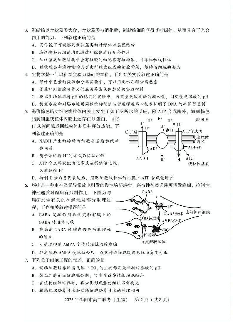 湖南省邵阳市2024-2025学年高二下学期7月期末考试生物试卷第2页