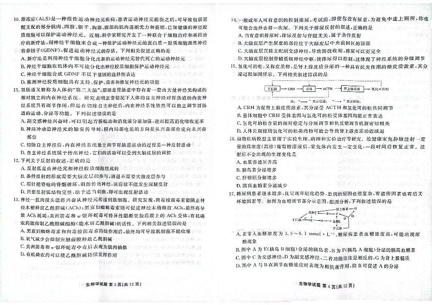 河北省枣强中学2024-2025学年高二上学期11月月考生物试题第2页