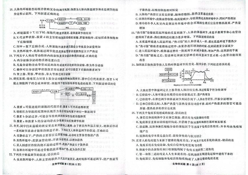 河北省枣强中学2024-2025学年高二上学期11月月考生物试题第3页