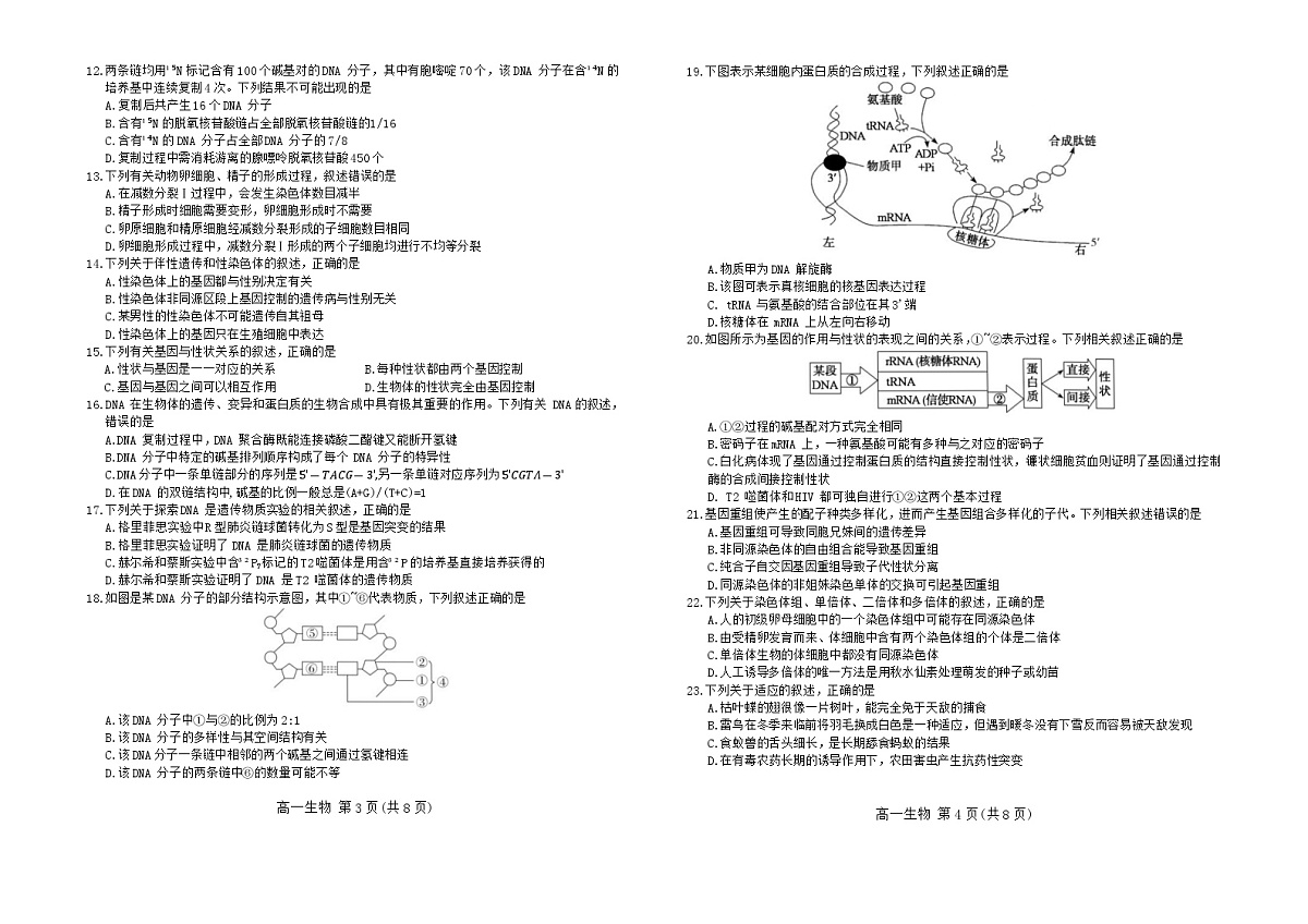 河北省张家口市2023-2024学年高一下学期期末教学质量监测生物试卷第2页