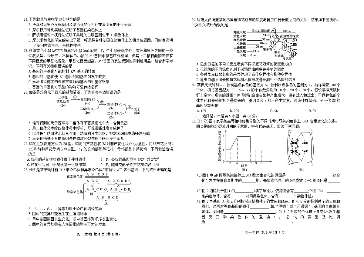 河北省张家口市2023-2024学年高一下学期期末教学质量监测生物试卷第3页