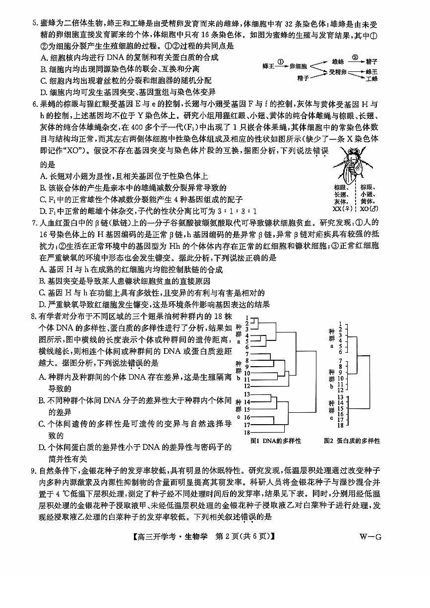 河南省2024-2025学年高三上学期开学考试生物试题第2页