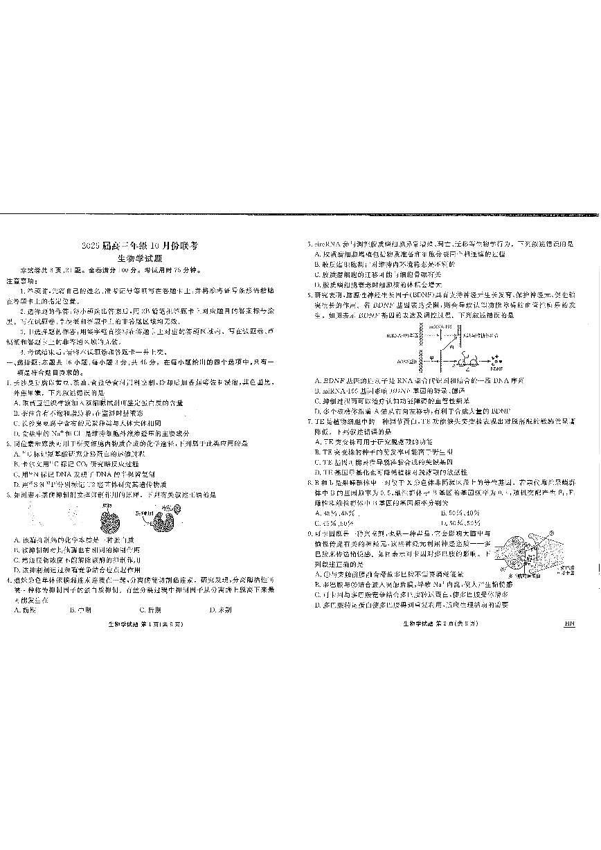 河南省安阳市林州市晋豫名校联盟2024-2025学年高三上学期10月月考生物试题第1页