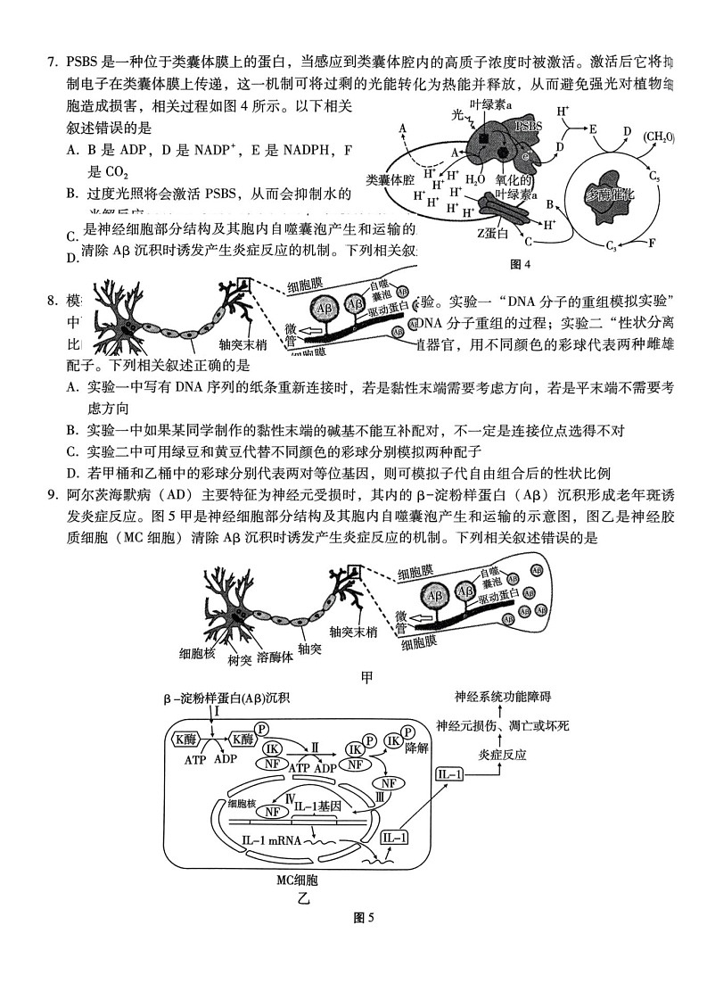 巴蜀中学2025届高考适应性月考卷（五）生物试题（含答案）第3页