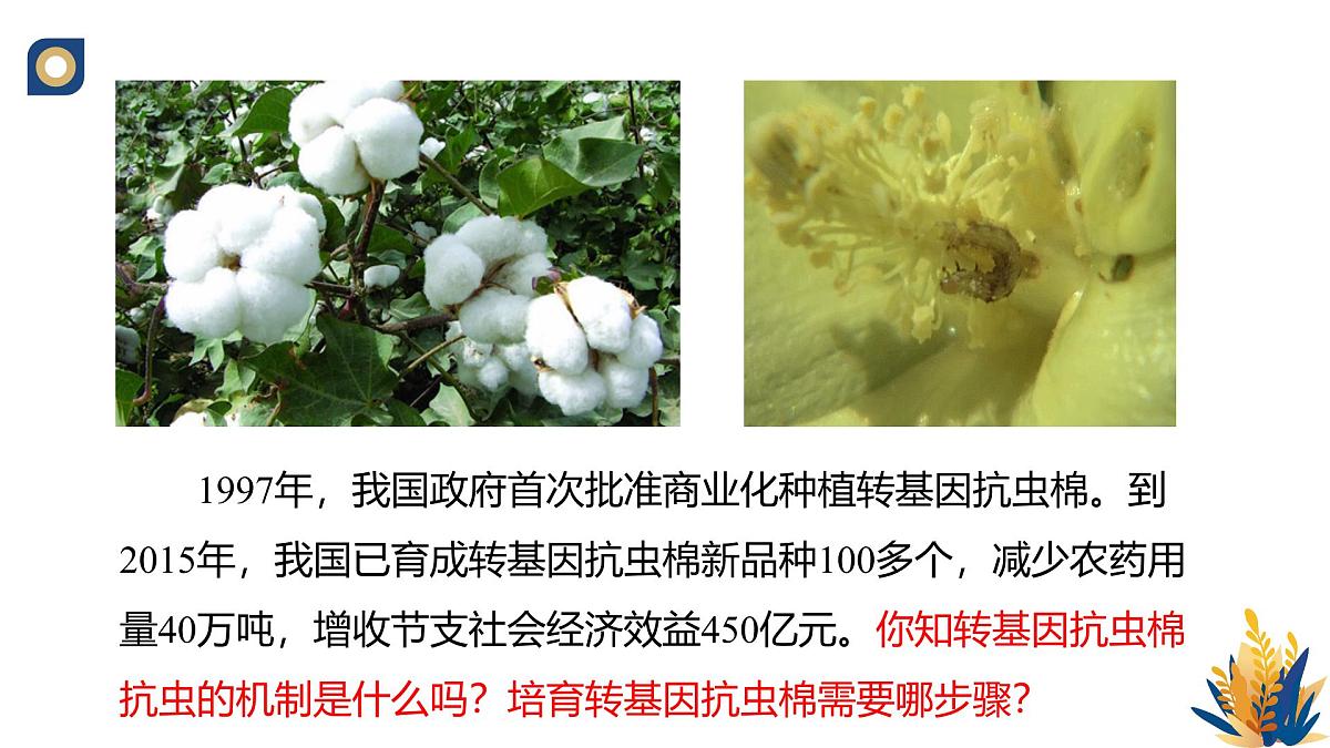 人教版高中生物 选修3《3-2 基因工程的操作程序（第1课时）》教学课件第2页