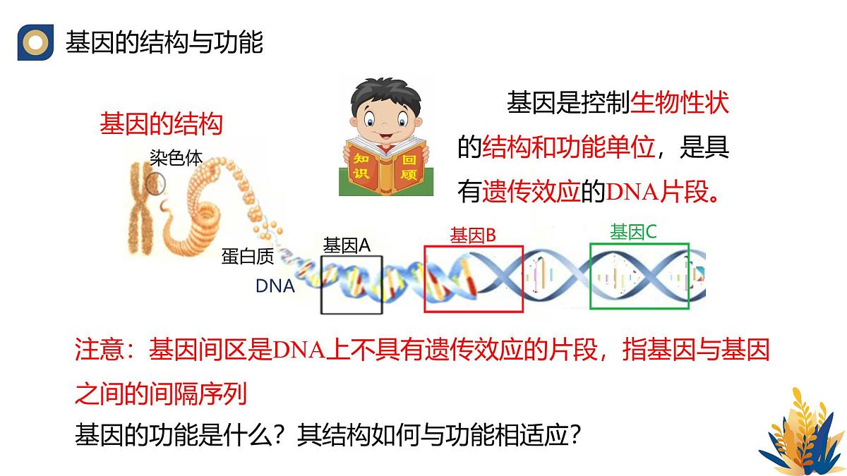 人教版高中生物 选修3《3-2 基因工程的操作程序（第1课时）》教学课件第4页