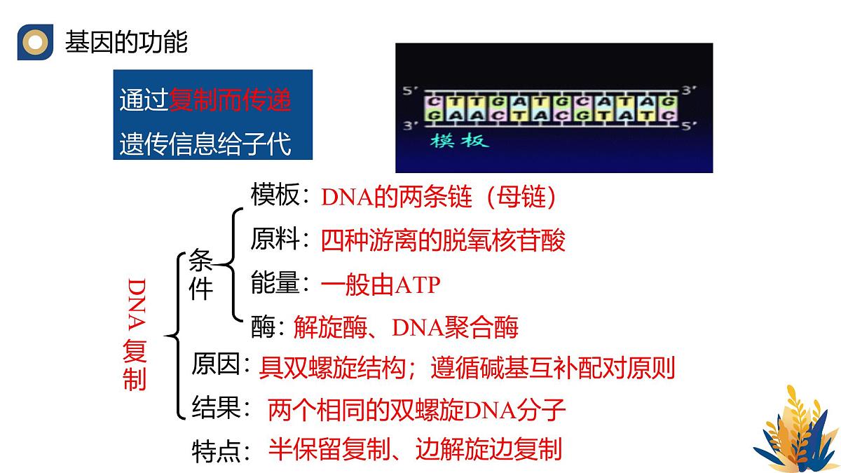 人教版高中生物 选修3《3-2 基因工程的操作程序（第1课时）》教学课件第5页
