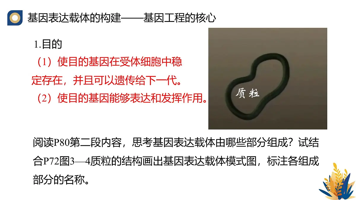 人教版高中生物 选修3《3-2 基因工程的操作程序（第3课时）》教学课件第2页