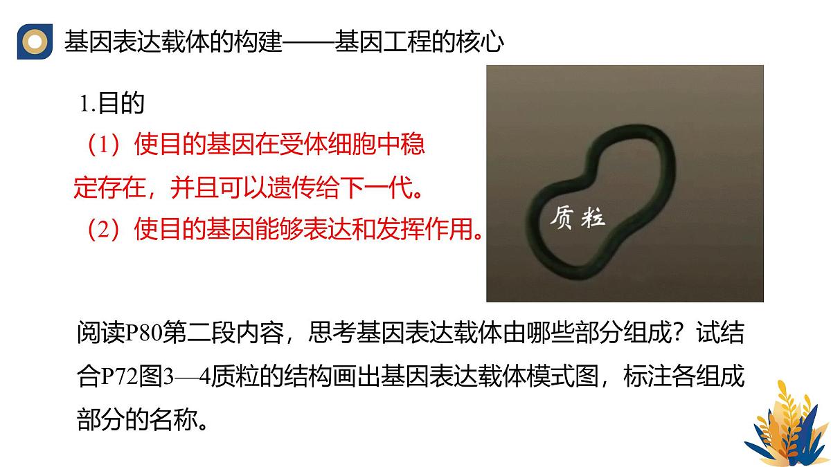 人教版高中生物 选修3《3-2 基因工程的操作程序（第3课时）》教学课件第2页