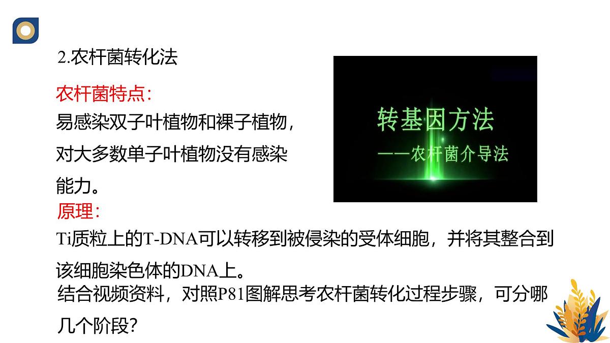 人教版高中生物 选修3《3-2 基因工程的操作程序（第3课时）》教学课件第7页