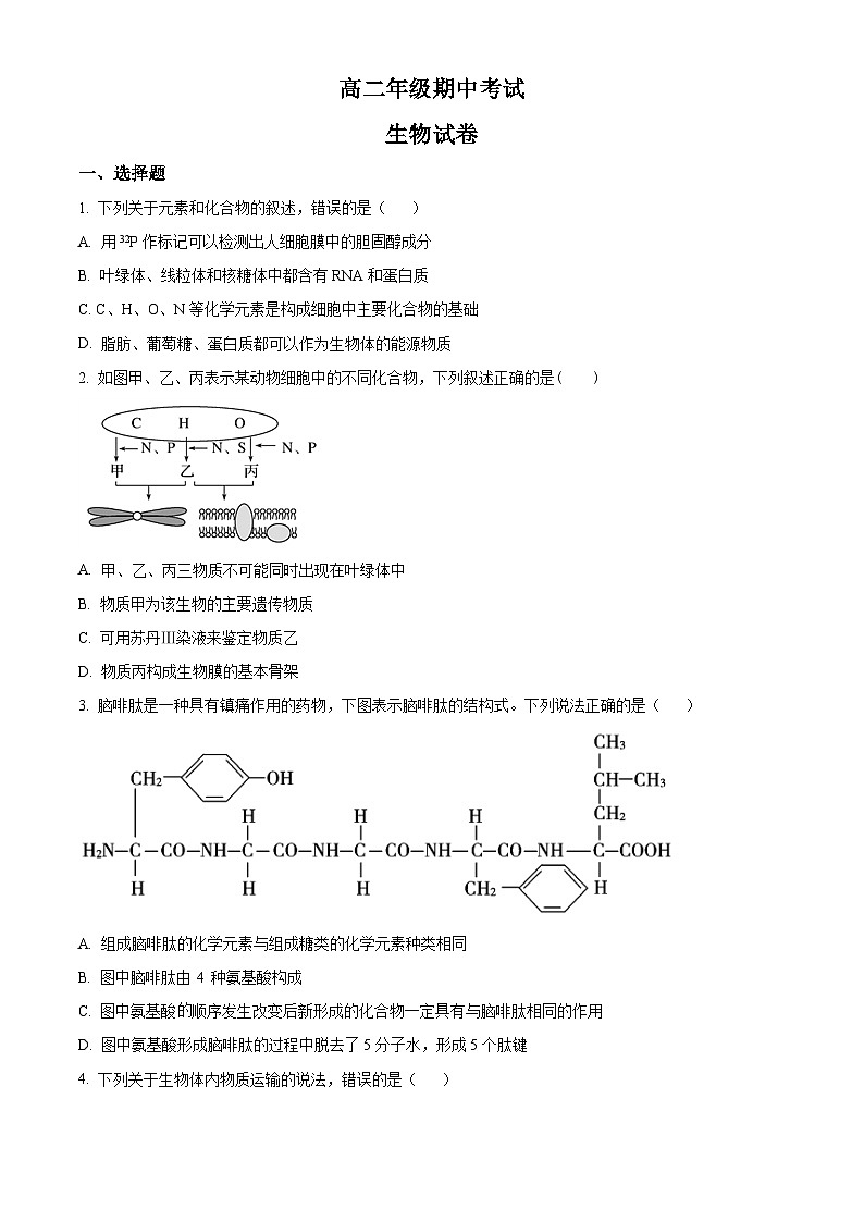 人教版高二下学期期中生物试题 无答案第1页