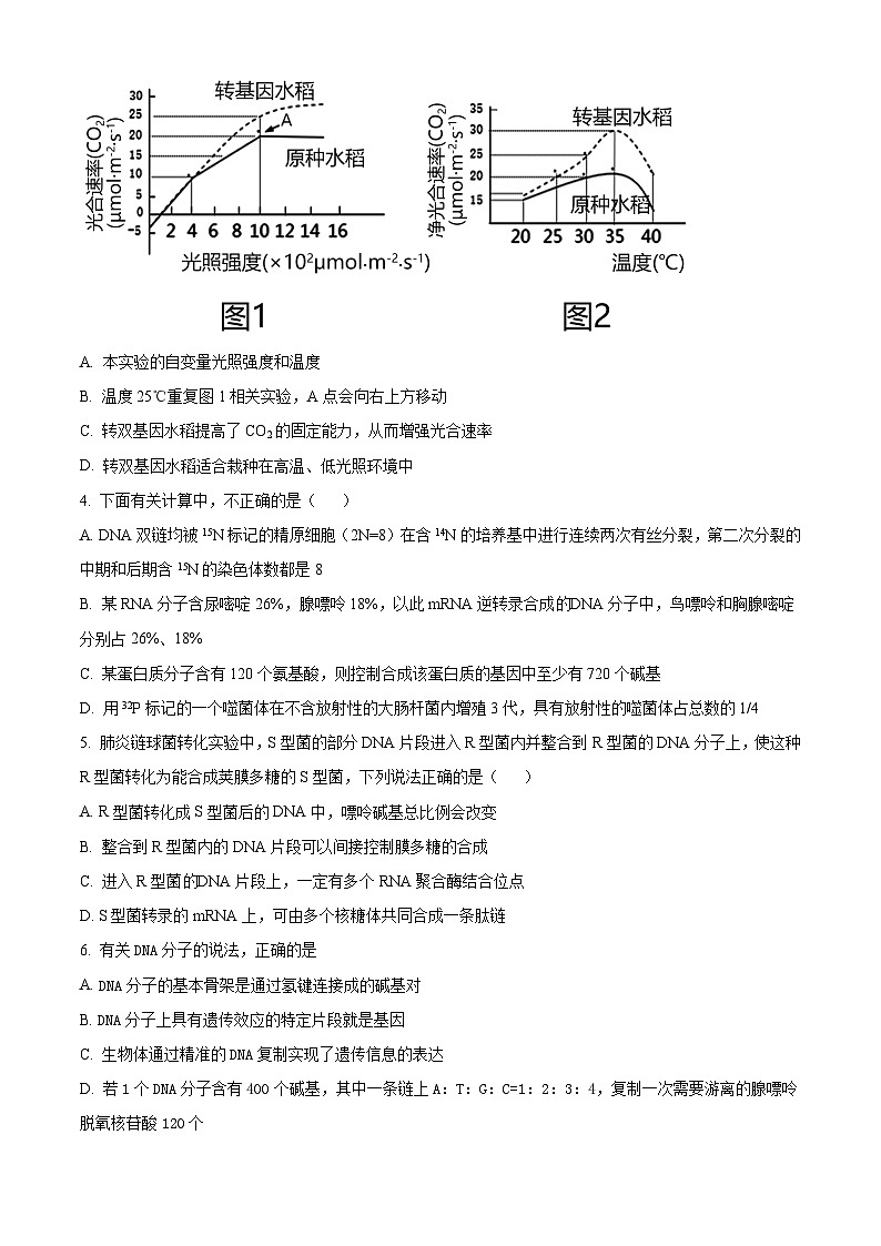 人教版高二下学期期末生物试题6（原卷版 无答案）第2页