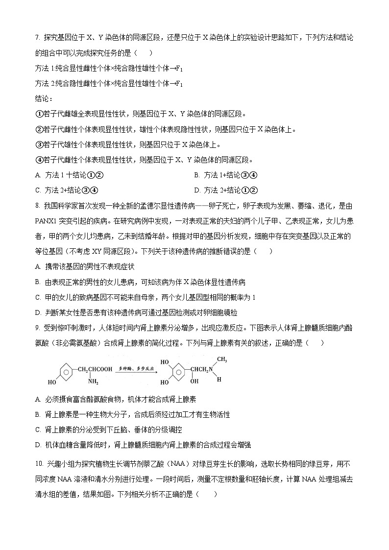 人教版高二下学期期末生物试题6（原卷版 无答案）第3页