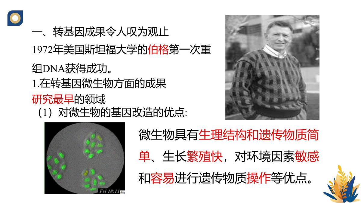 人教版高中生物选修3《4-1 转基因产品的安全性》教学课件第3页