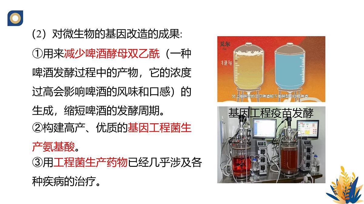 人教版高中生物选修3《4-1 转基因产品的安全性》教学课件第4页