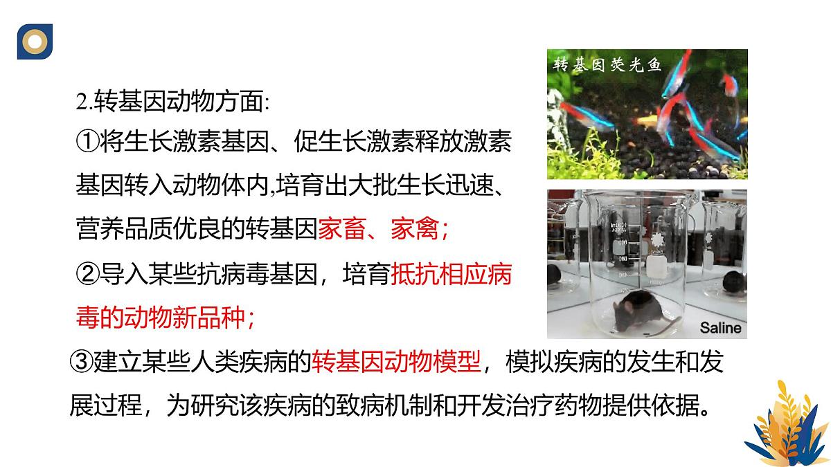 人教版高中生物选修3《4-1 转基因产品的安全性》教学课件第5页