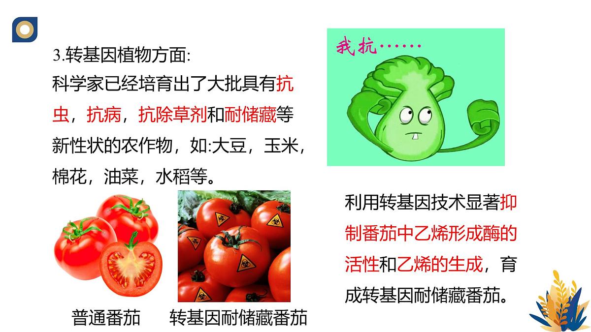 人教版高中生物选修3《4-1 转基因产品的安全性》教学课件第6页