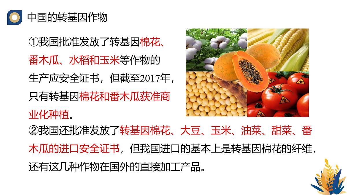 人教版高中生物选修3《4-1 转基因产品的安全性》教学课件第8页