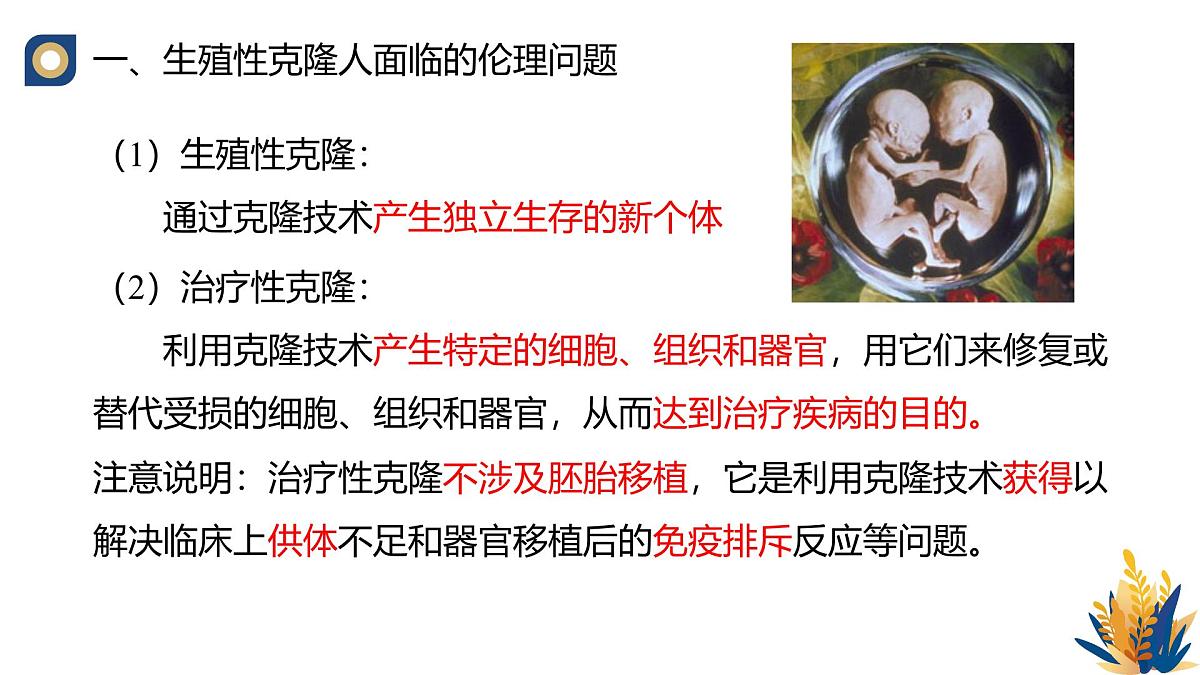 人教版高中生物选修3《4-2 关注生殖性克隆人》教学课件第4页