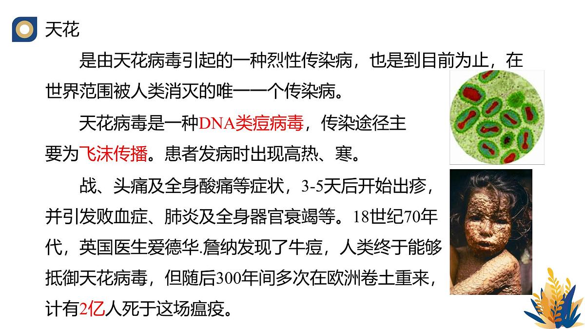 人教版高中生物选修3《4-3 禁止生物武器》教学课件第5页