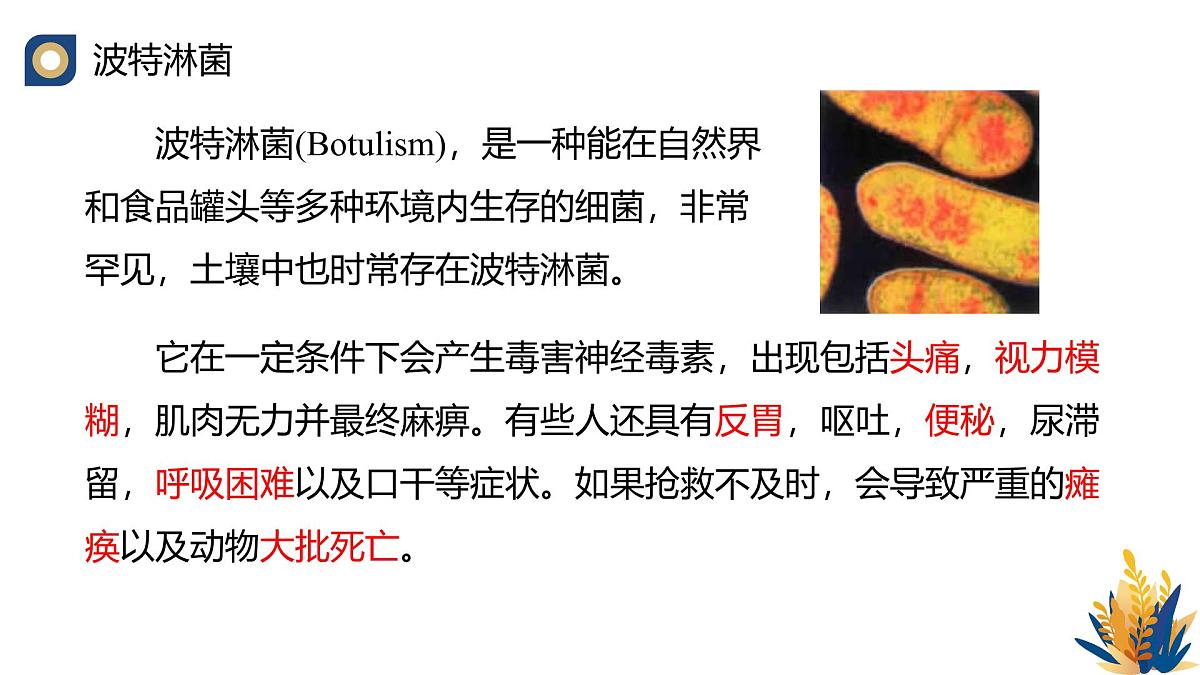 人教版高中生物选修3《4-3 禁止生物武器》教学课件第6页