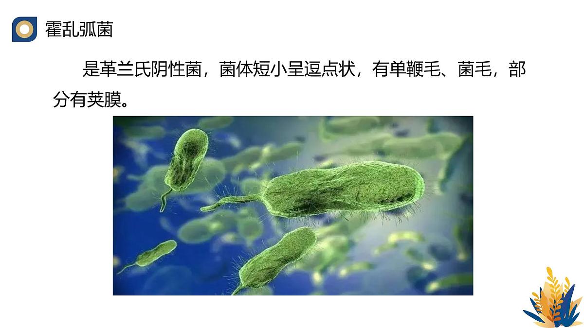 人教版高中生物选修3《4-3 禁止生物武器》教学课件第7页