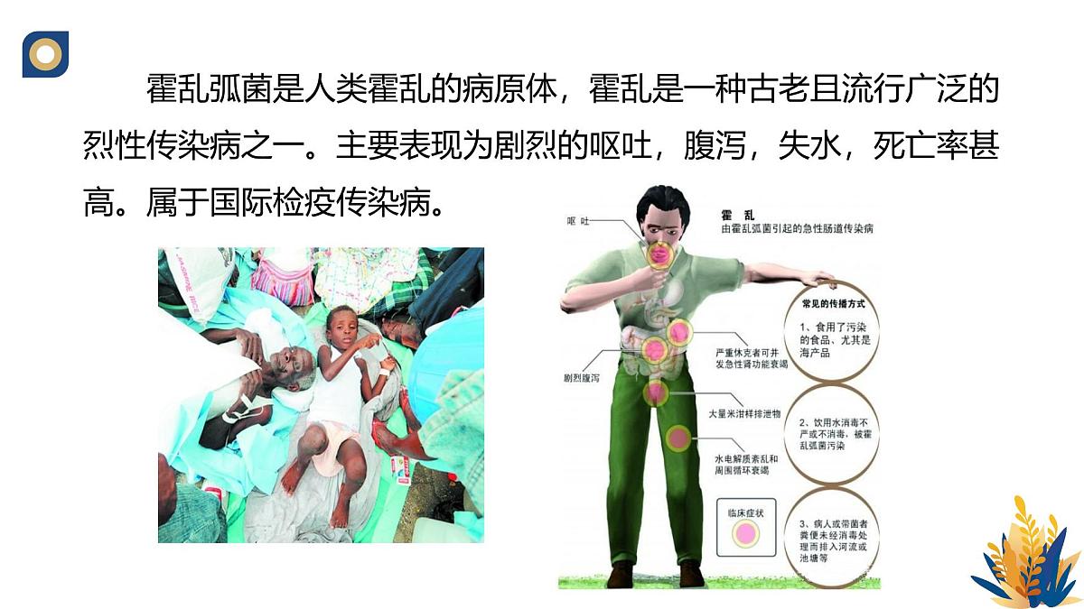 人教版高中生物选修3《4-3 禁止生物武器》教学课件第8页