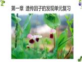 人教版高中生物必修2 第一章《遗传因子的发现》复习课件