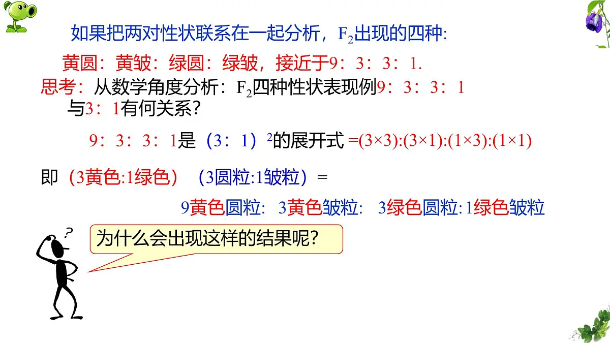 人教版高中生物必修2 1-2《孟德尔豌豆杂交实验（二）》课时1 课件第6页