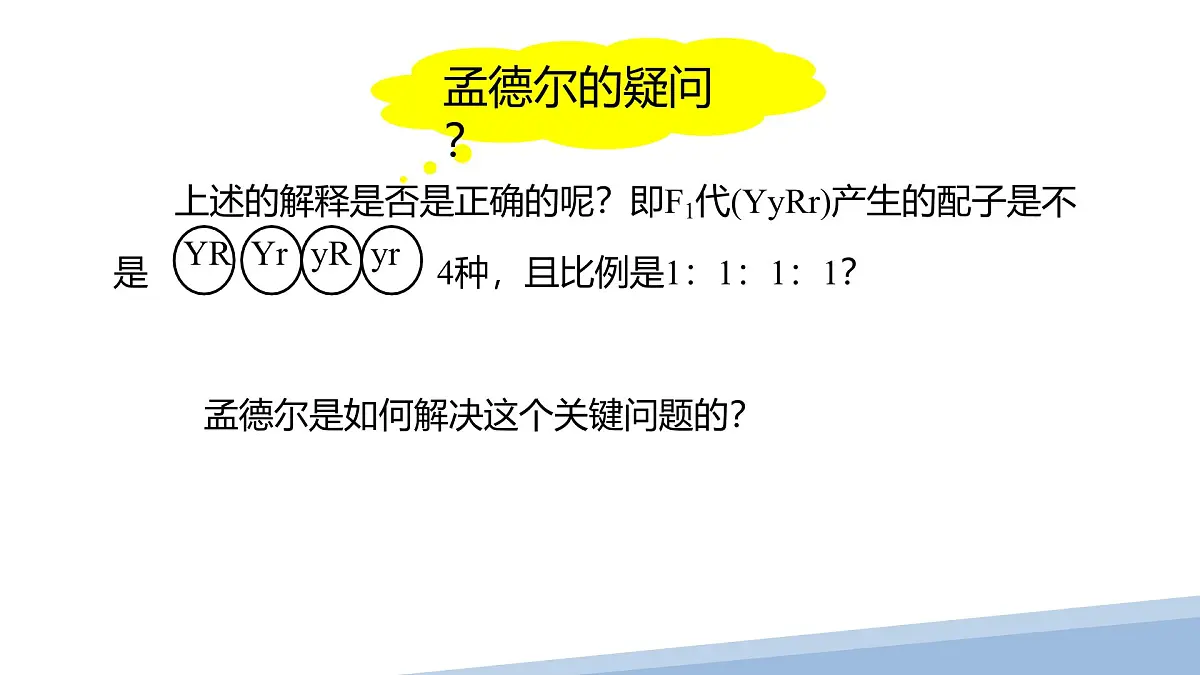 人教版高中生物必修2 1-2《孟德尔豌豆杂交实验（二）》课时2 课件第8页