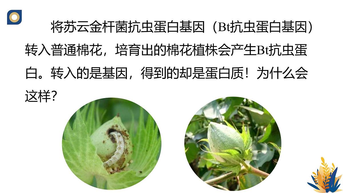 人教版高中生物必修2 4-1《基因指导蛋白质的合成（第二课时）》教学课件第3页