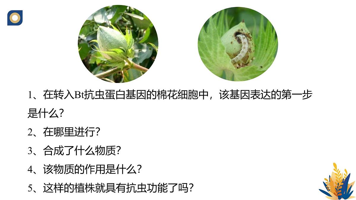 人教版高中生物必修2 4-1《基因指导蛋白质的合成（第二课时）》教学课件第4页