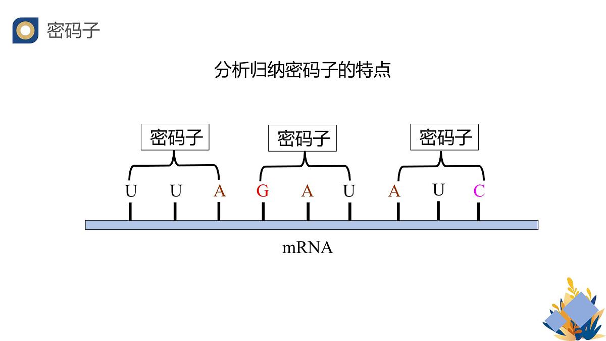 人教版高中生物必修2 4-1《基因指导蛋白质的合成（第二课时）》教学课件第6页