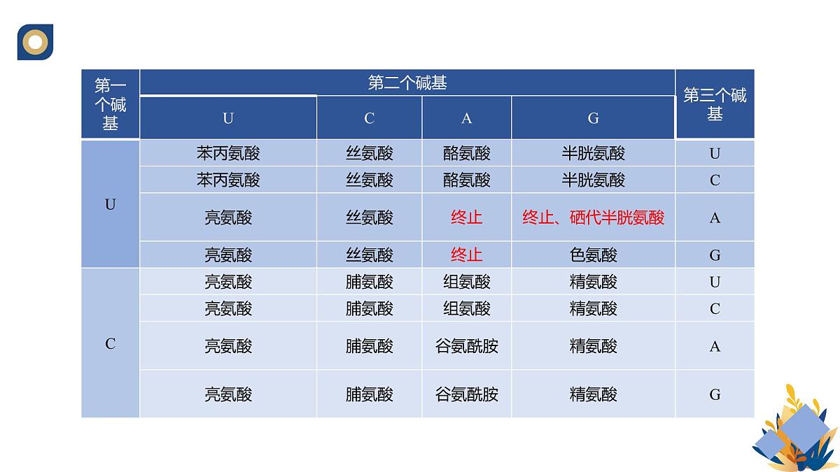 人教版高中生物必修2 4-1《基因指导蛋白质的合成（第二课时）》教学课件第7页