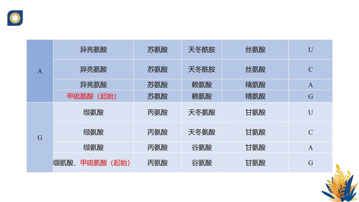 人教版高中生物必修2 4-1《基因指导蛋白质的合成（第二课时）》教学课件第8页