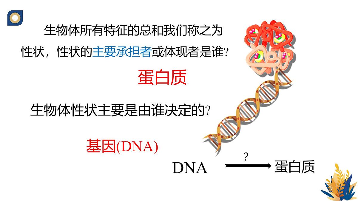 人教版高中生物必修2 4-1《基因指导蛋白质的合成（第一课时）》教学课件第5页