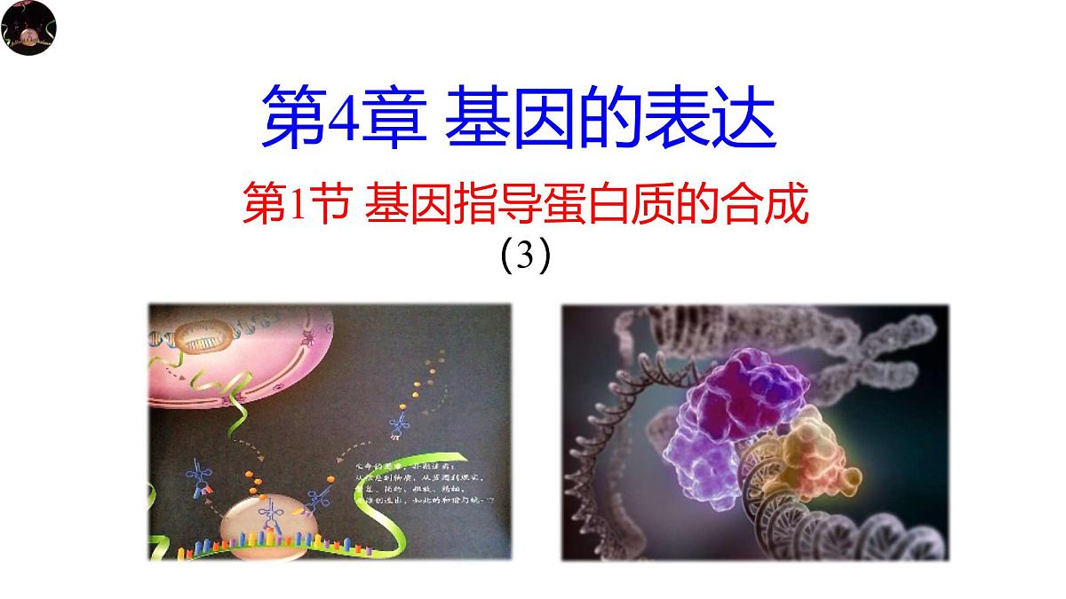 人教版高中生物必修2《4-1-3 基因指导蛋白质的合成》课件第1页