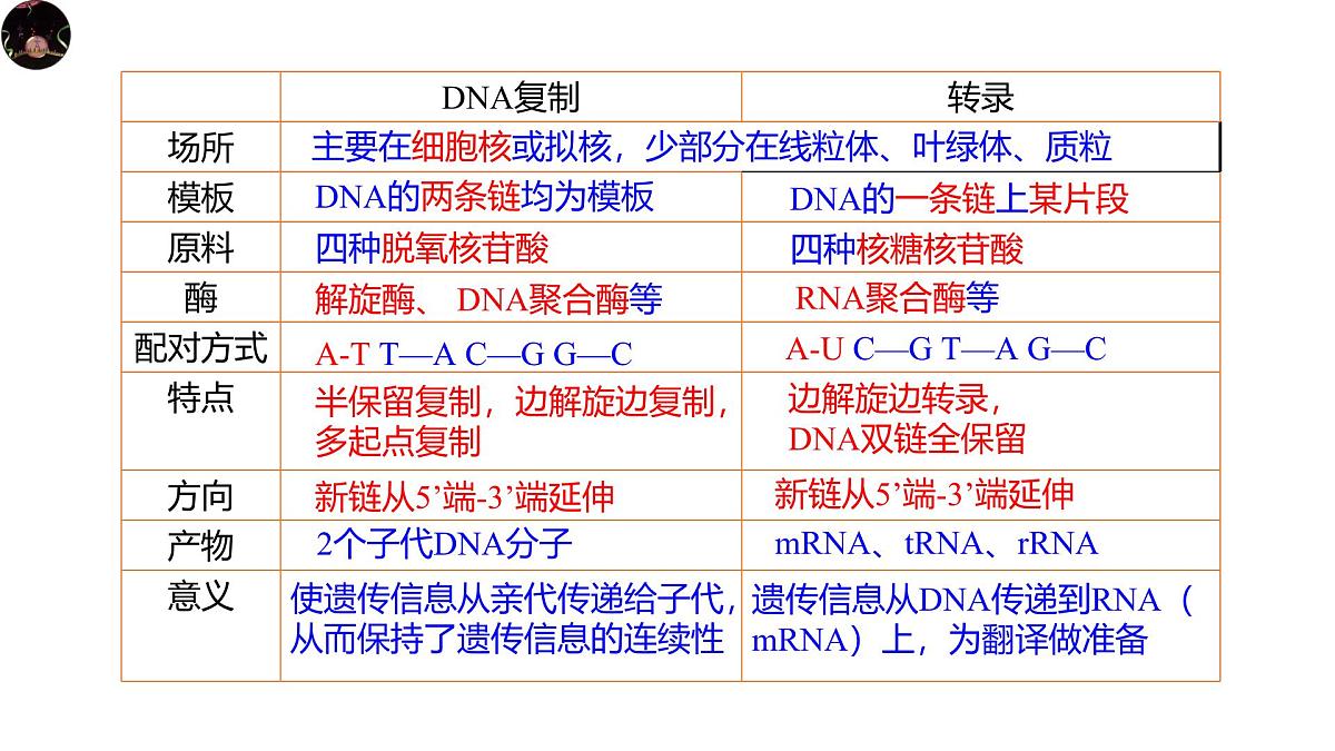 人教版高中生物必修2《4-1-3 基因指导蛋白质的合成》课件第2页