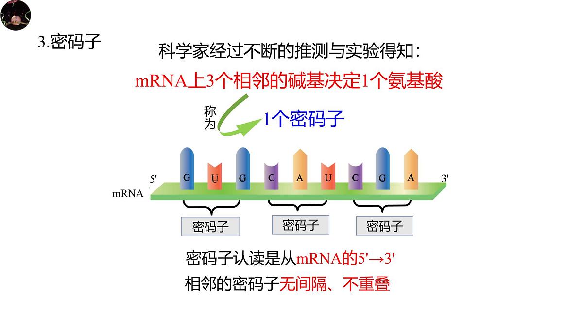 人教版高中生物必修2《4-1-3 基因指导蛋白质的合成》课件第5页