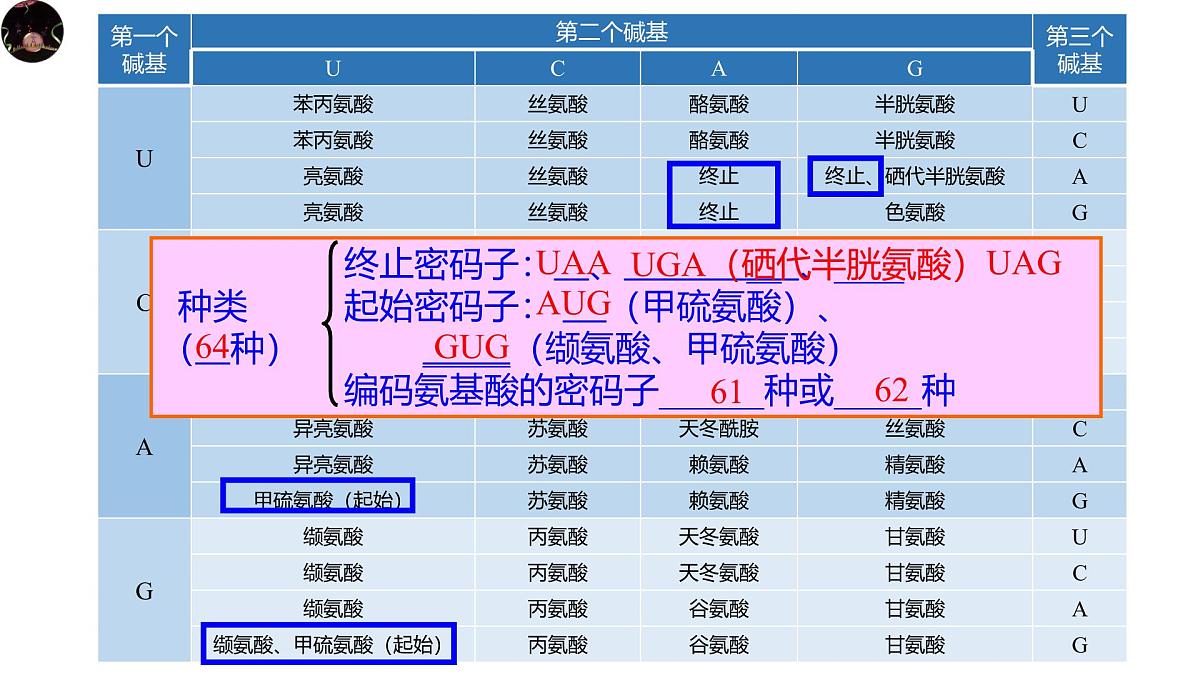 人教版高中生物必修2《4-1-3 基因指导蛋白质的合成》课件第7页